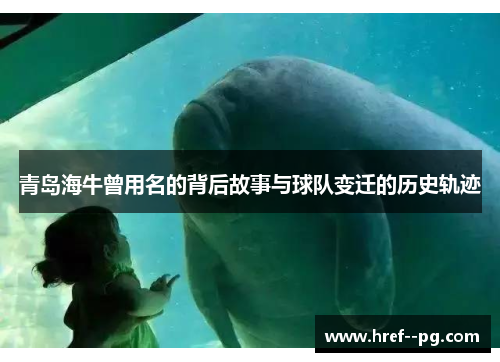 青岛海牛曾用名的背后故事与球队变迁的历史轨迹 青岛海牛曾用名的背后故事与球队变迁的历史轨迹