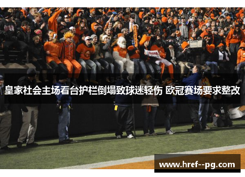 皇家社会主场看台护栏倒塌致球迷轻伤 欧冠赛场要求整改